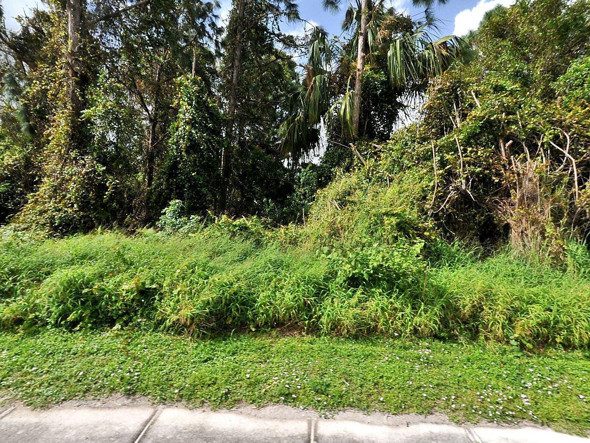 PORT ST LUCIE SECTION 13 - Land