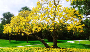 EMERALD LAKES - Residential