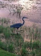 EMERALD LAKES - Residential