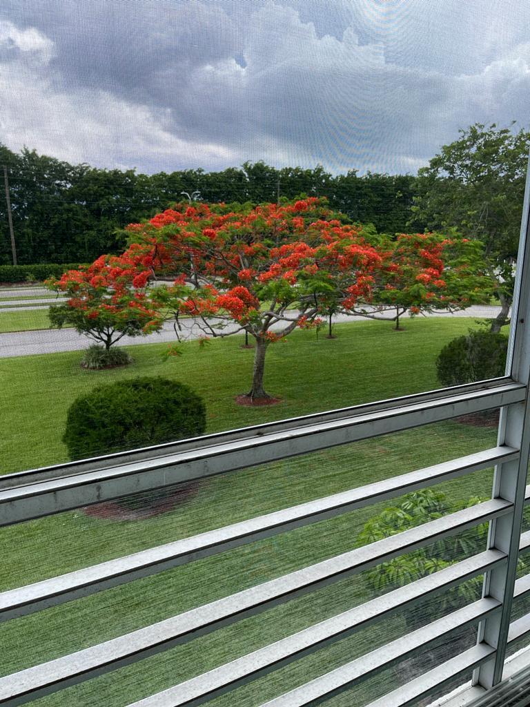 FANSHAW AT CENTURY VILLAGE CONDO - Residential Lease