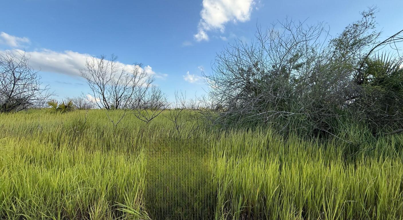 Western Palm Bay - Land