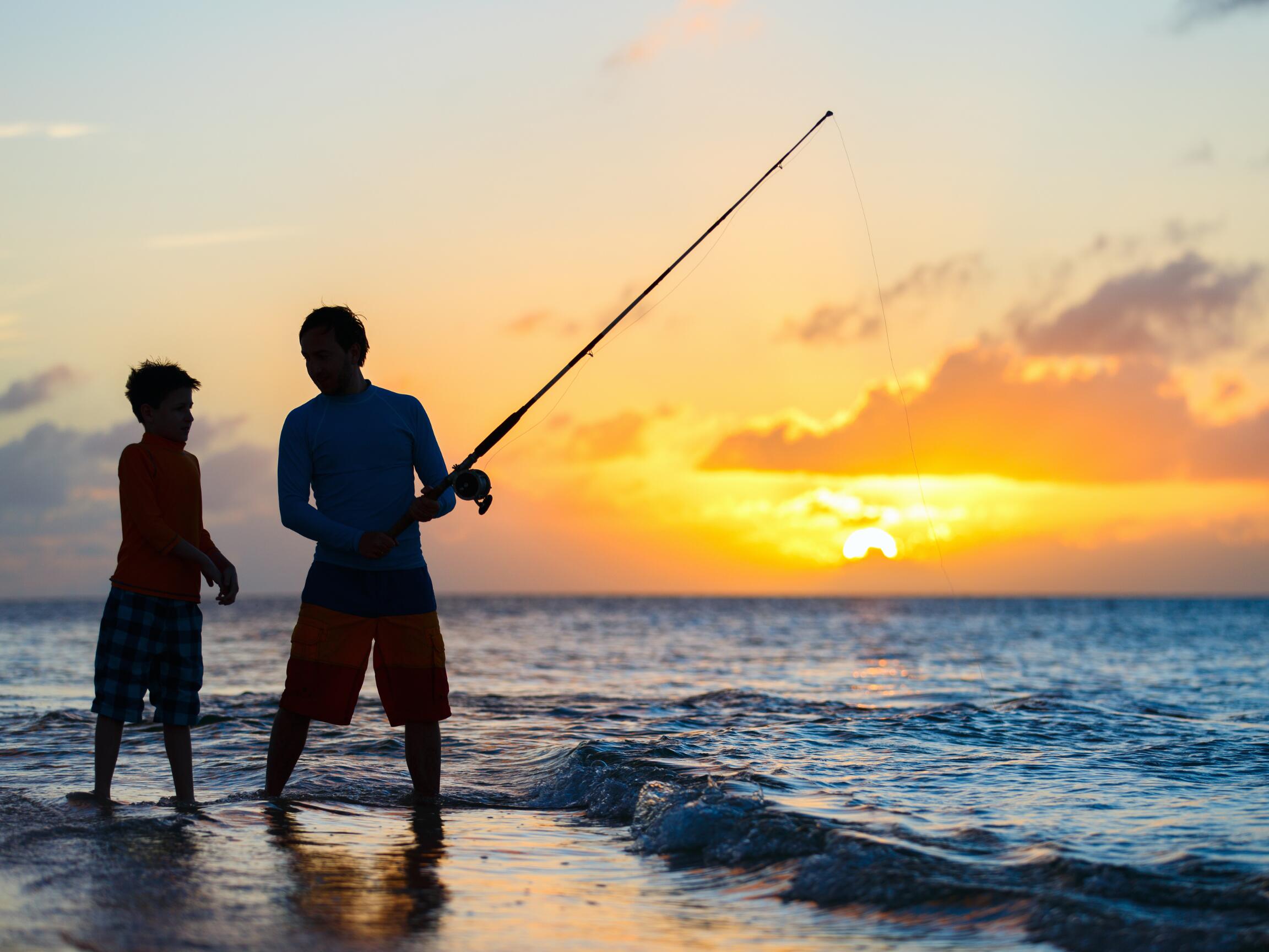 Western Palm Bay - Land