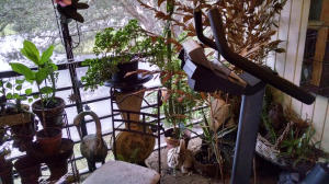 CYPRESS COURT CONDO - Residential