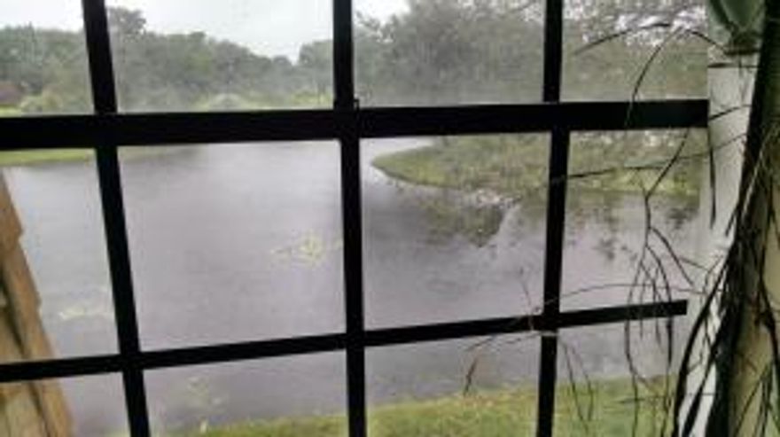 LOCATION LOCATION Look at this amazing VIEW! Yes a 2 bedroom 2 bathroom ''All Ages Welcomed'' AFFORDABLE condo. Great floor plan includes large Great Room/Family Room, Breakfast Bar and Dining Area, good sized bedrooms and 2 full bathrooms. Plenty of Windows for soothing natural light. Currently occupied by a nature enthusiast, this apartment has a comfortable welcoming feel of HOME. Community allows pets with some restrictions.