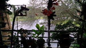 CYPRESS COURT CONDO - Residential