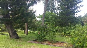 SKYLINE PARK - Residential