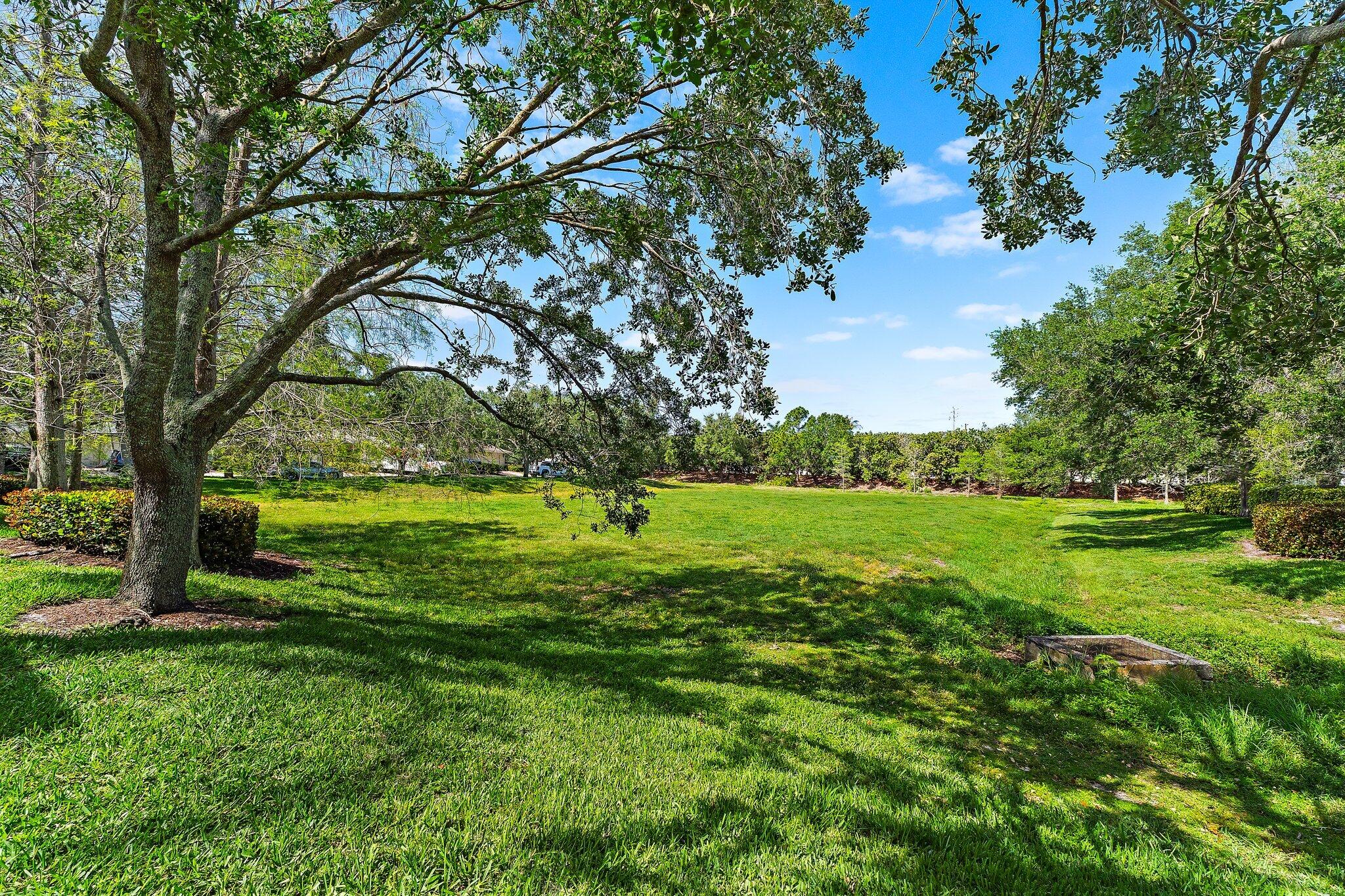 MARTINIQUE AT ABACOA 1 - Residential