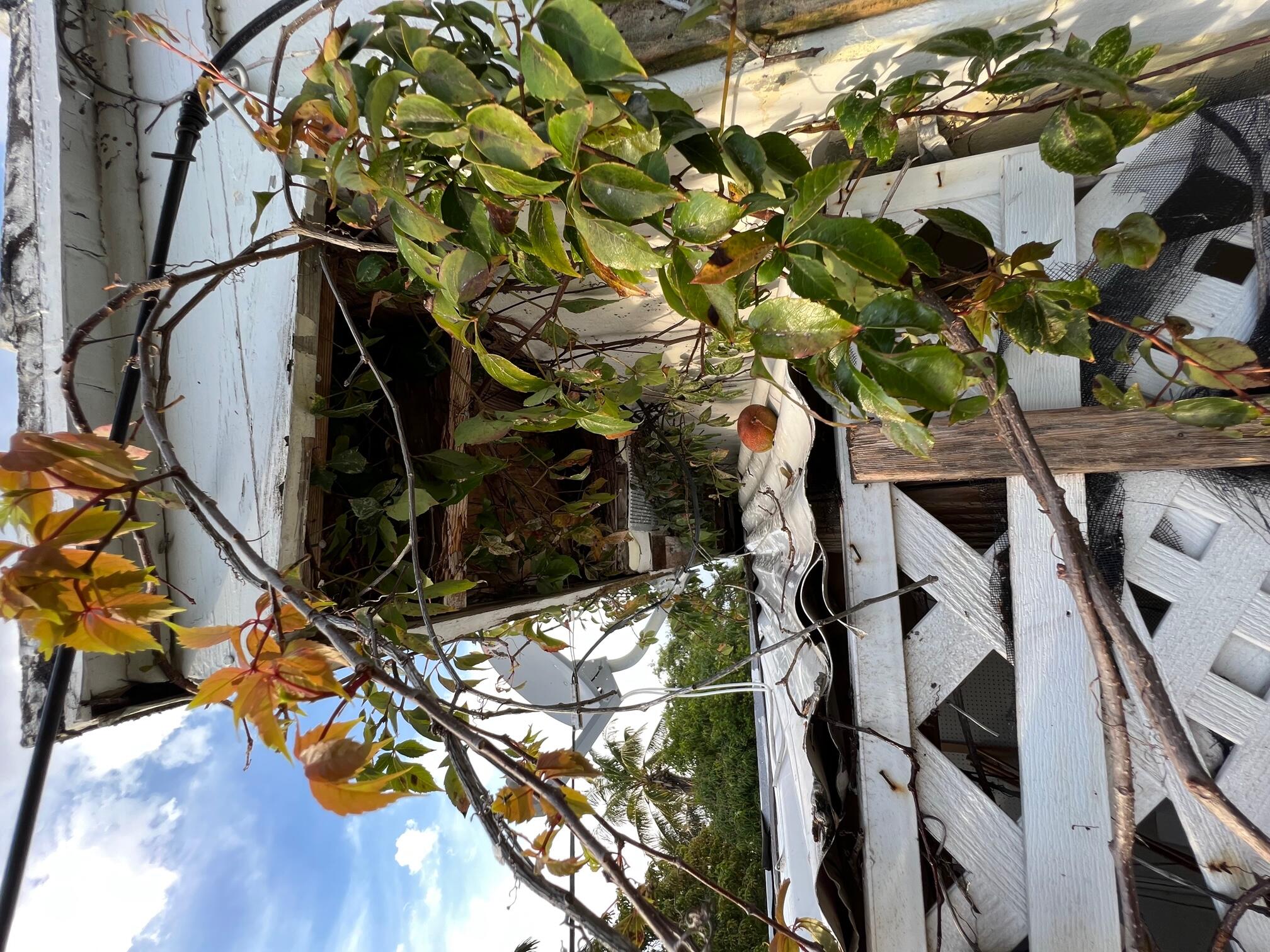 LAKE WORTH TOWN OF ADD 1 - Residential