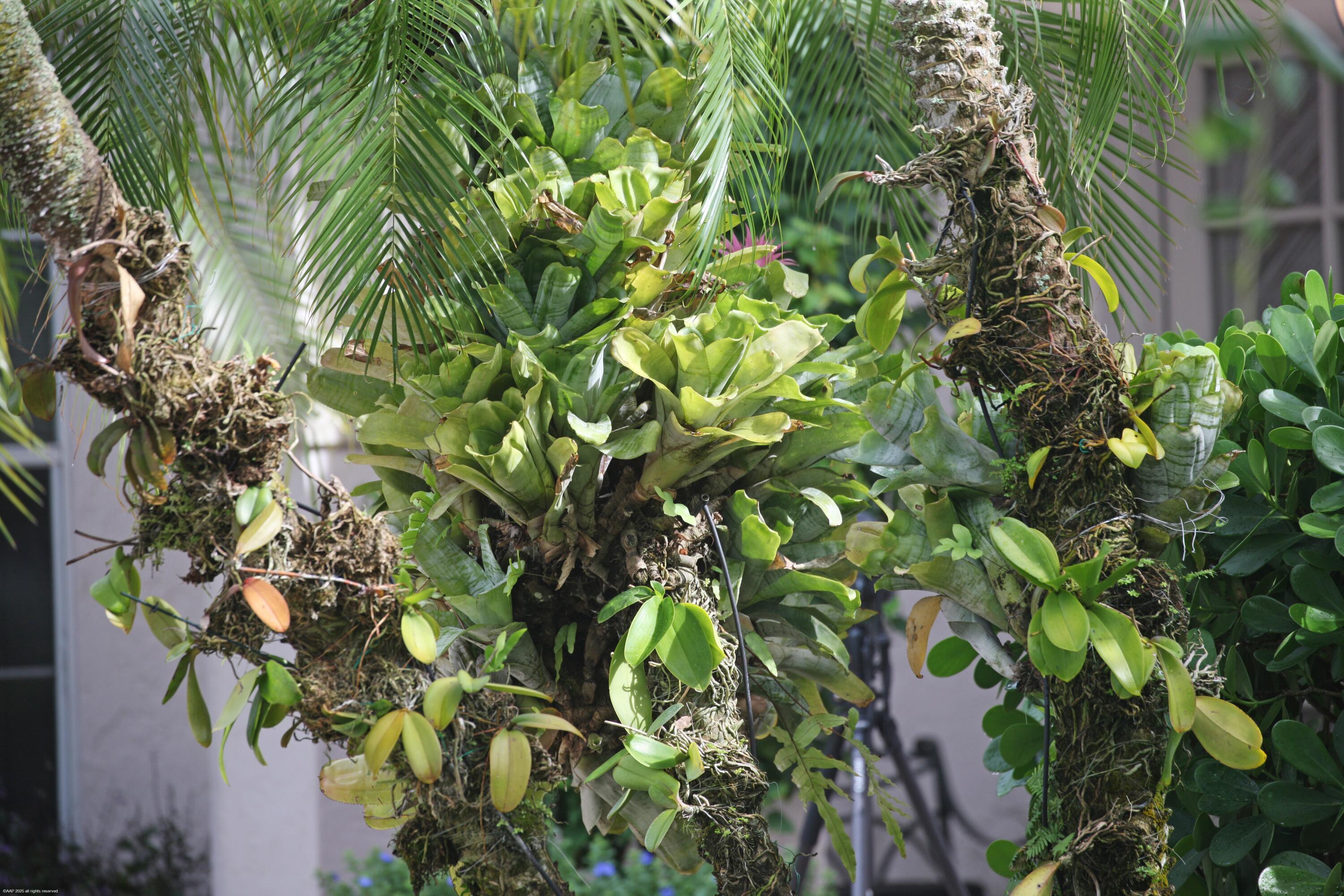 EQUESTRIAN CLUB ESTATES 3 - Residential