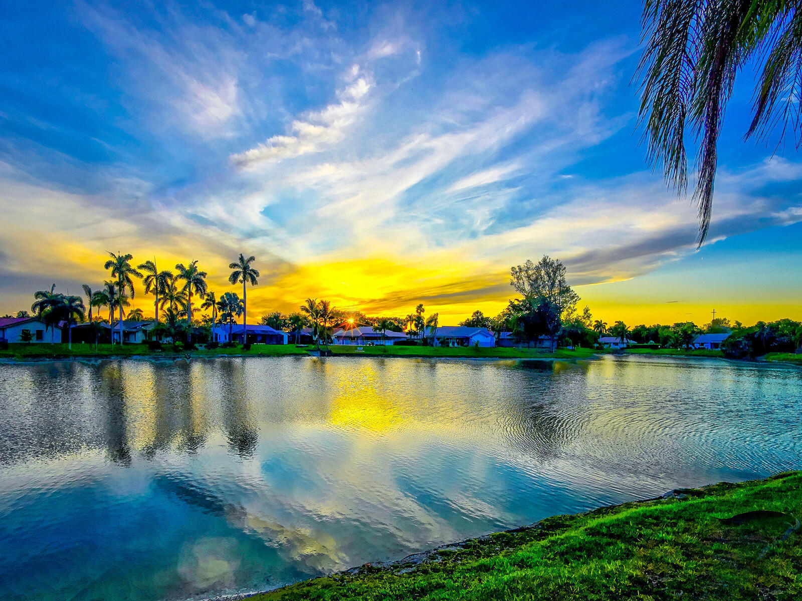 SUNFLOWER MARGATE - Residential