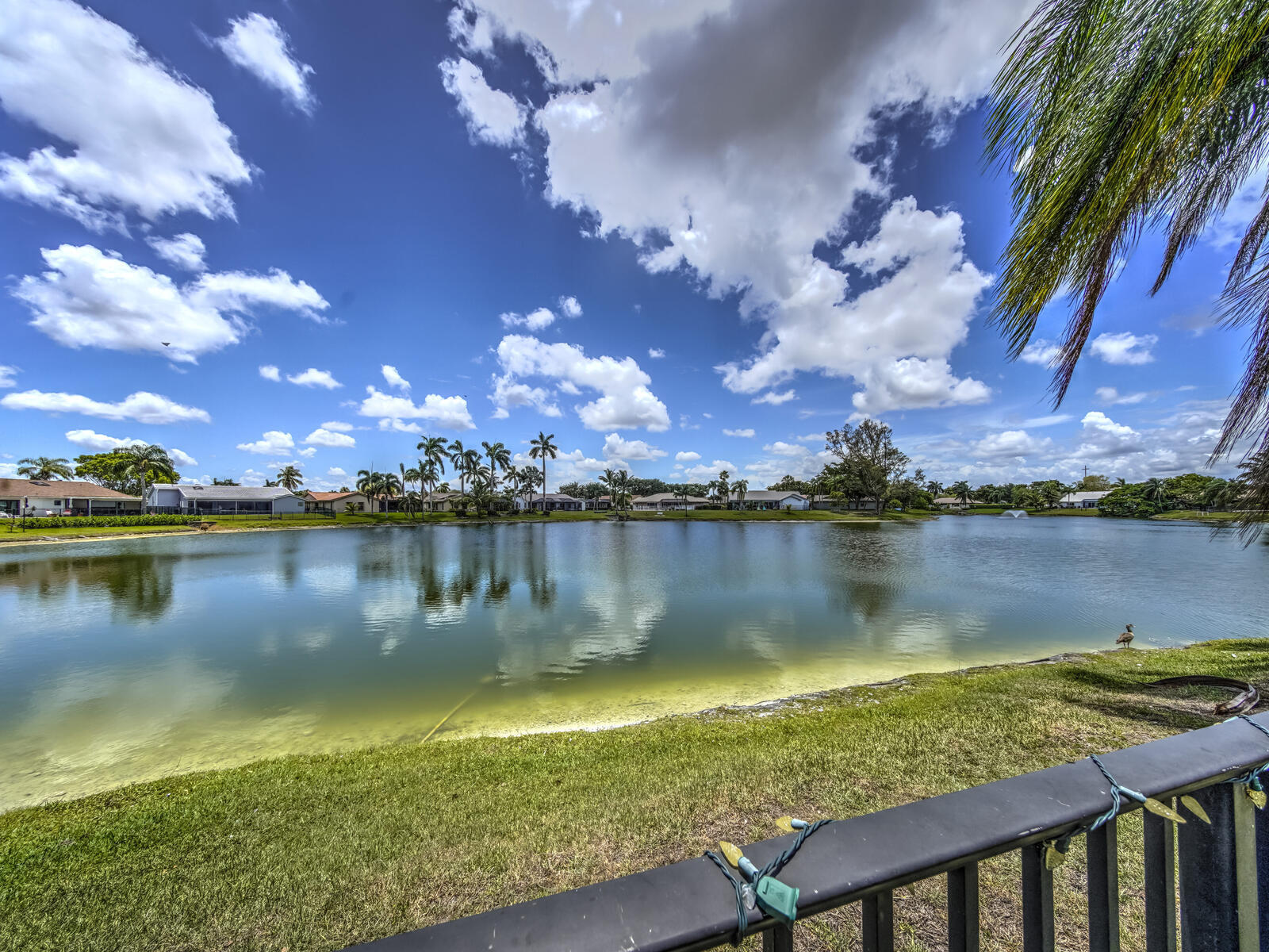 SUNFLOWER MARGATE - Residential