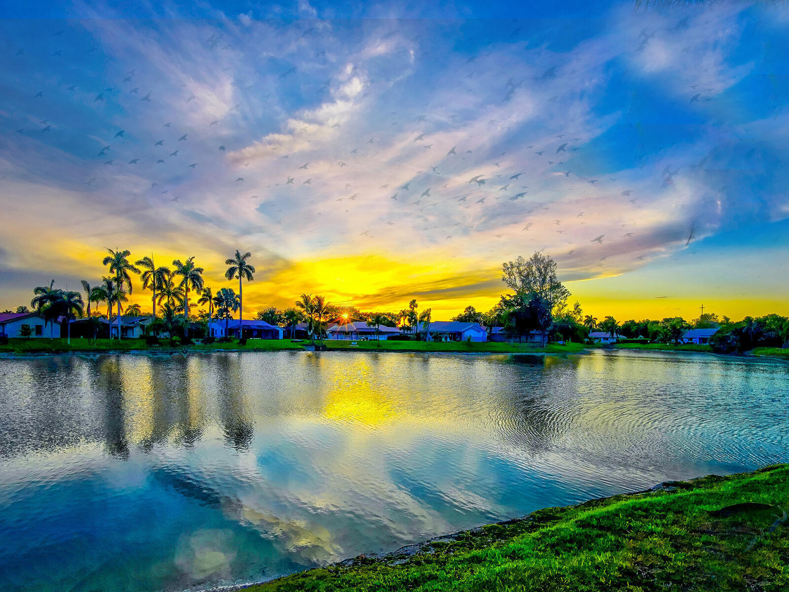 SUNFLOWER MARGATE - Residential