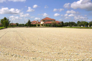 Palm Beach Point As - Residential