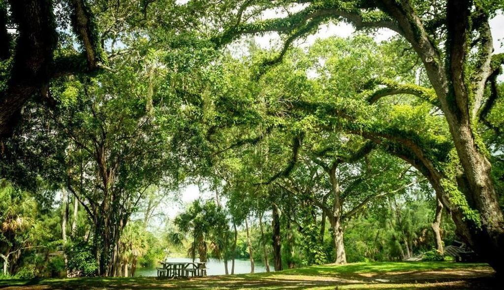 Lauderdale 2-9 D - Residential Income