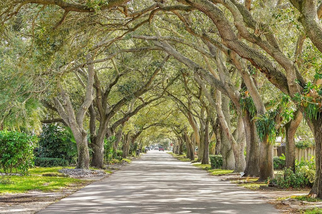 Lauderdale 2-9 D - Residential Income