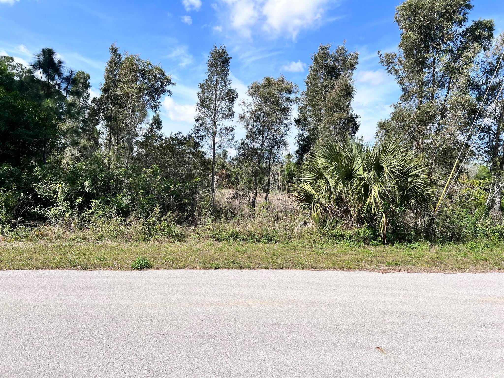 OWNER FINANCING AVAILABLE!! Incredible Lot located in Lehigh Acres. Minutes away from shopping, parks, schools, fine and casual dining, and more. Perfect to build your new construction home!!!.