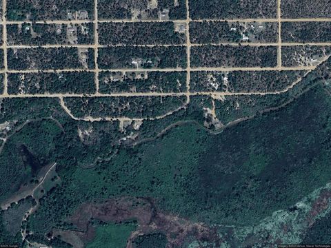 113 Hickory Circle Interlachen FL 32148