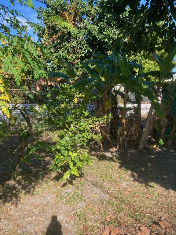 NORTHVIEW - Residential