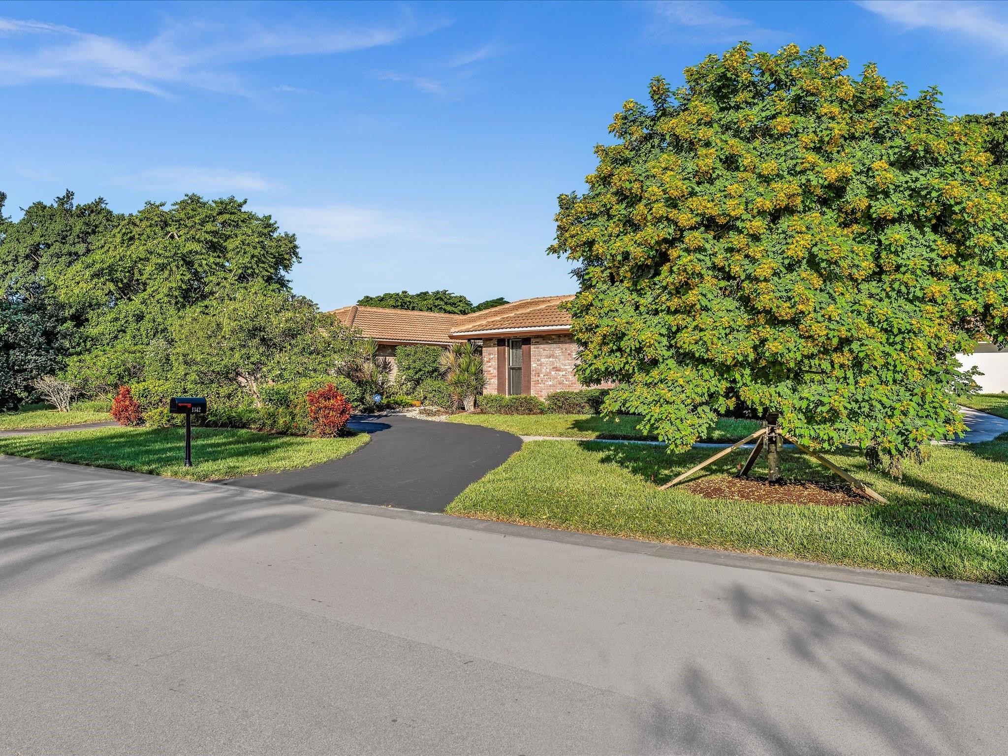 Maple Wood/Treasure Island - Residential