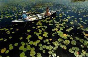 LAKEPARK AT TRADITION PLA - Residential