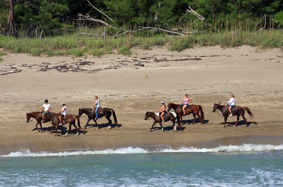 LAKEPARK AT TRADITION PLA - Residential