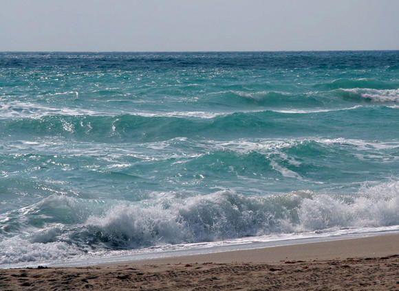 LAKEPARK AT TRADITION PLA - Residential