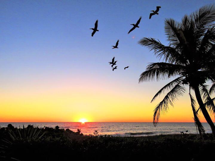 LAKEPARK AT TRADITION PLA - Residential