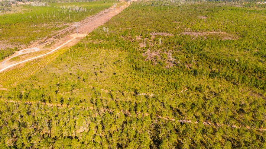 For sale in Fort McCoy, FL 32134—four separate vacant parcels (Parcel #04572-000-37 and others) priced at $45,000 each, with a package deal available for buyers interested in multiple lots. Located in a peaceful rural setting near the Ocala National Forest, these properties offer plenty of space for your dream home, small farm, or recreational retreat. Enjoy privacy and nature while still being within a short drive to shopping, dining, lakes, and outdoor activities. This is a rare opportunity to secure your own piece of Florida land in a quiet, scenic area—buy one lot or all four for a larger estate.