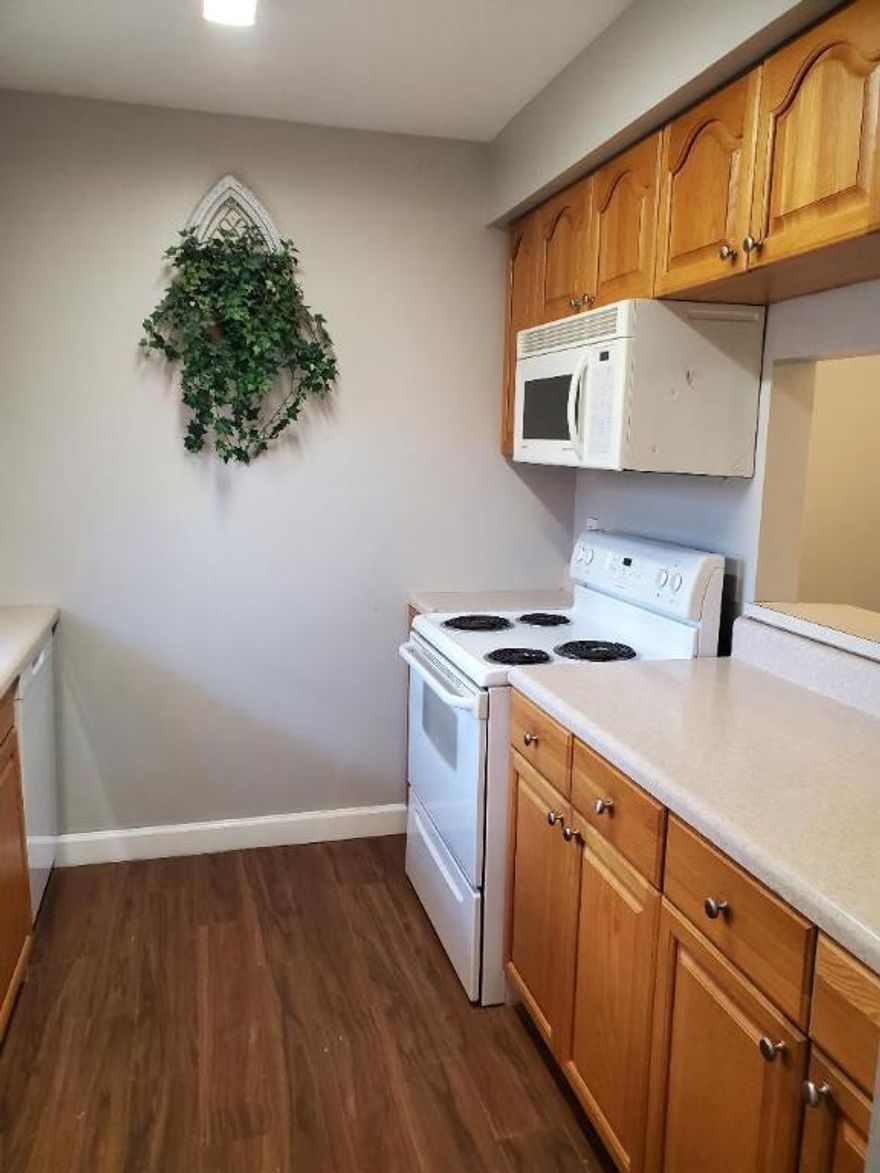 MOTIVATED SELLER ... BRING OFFER. 
Beautiful Ground Floor Greenway Village Condo available.  Over 55 community.  This home offers One large bedroom, updated Master Bath, updated Guest Bath, Beautiful wood like tile floors throughout, Kitchen offering many upgrades and NEW Dishwasher plus a New Electrical panel.
The home interior is freshly painted throughout with lovely, upgraded bathroom vanities & mirrors and ceiling fans throughout the home.  Enjoy the tiled screened in back patio.  Roof assessment has been fully paid.