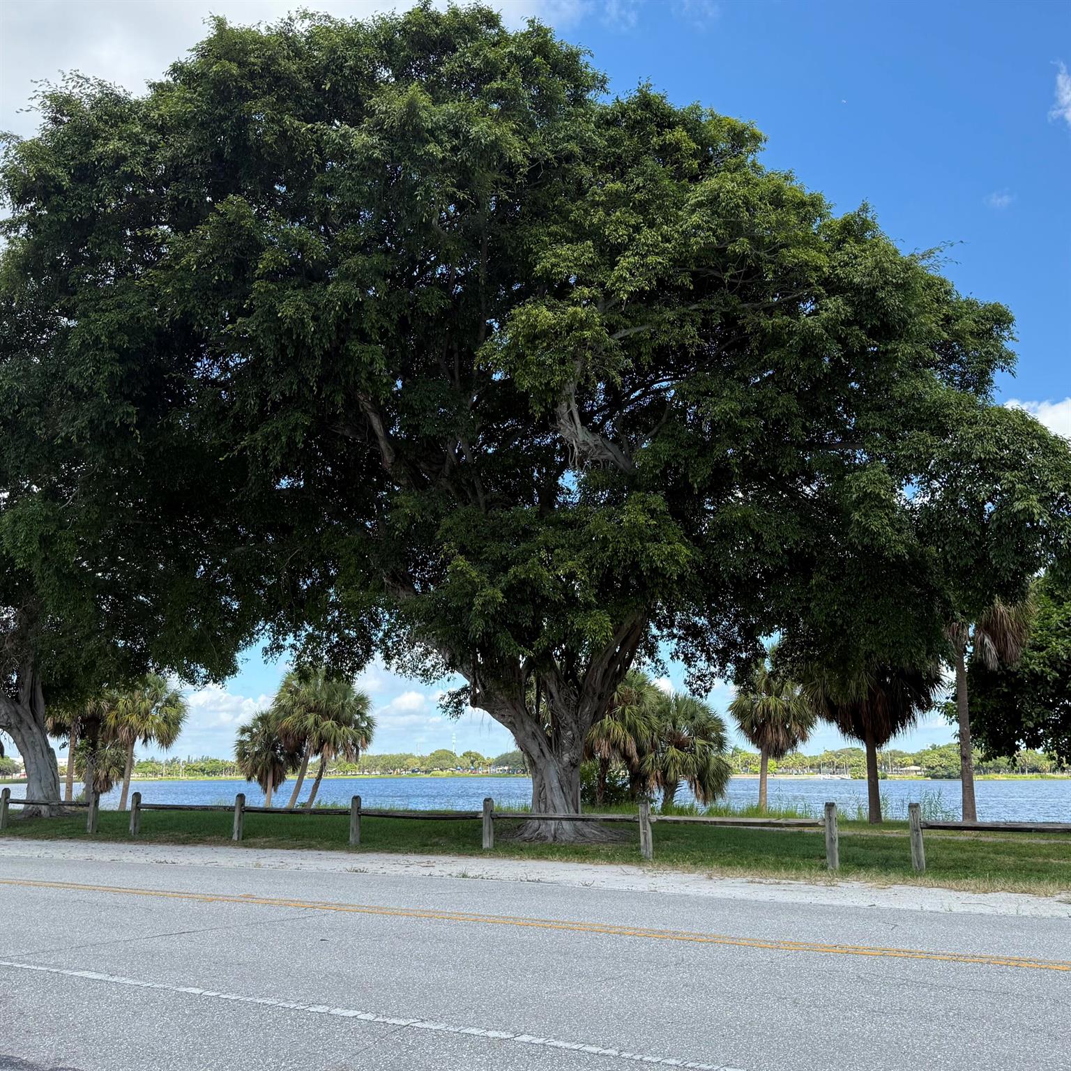 LAKESIDE POINT APT 4 COND - Residential