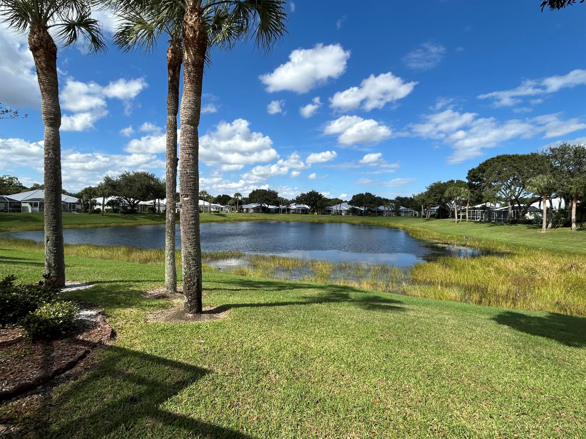 THE MEADOWS AT MARTIN DOW - Residential