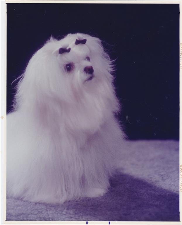 CYPRESS REACH - Residential