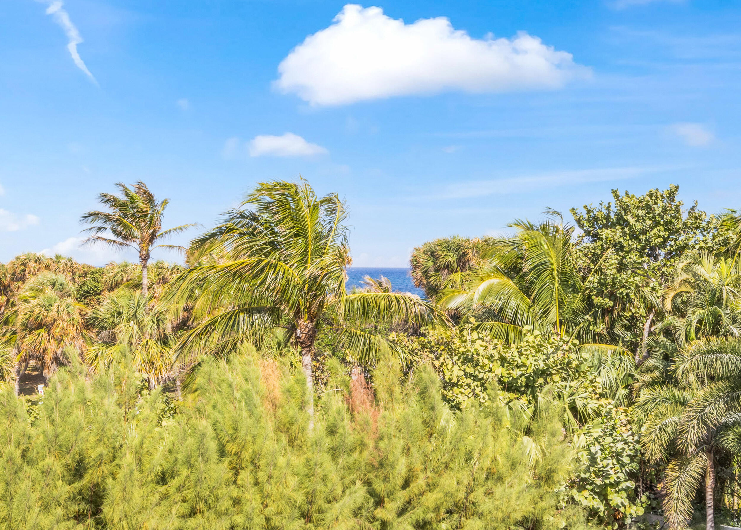 REEF CONDO - Residential