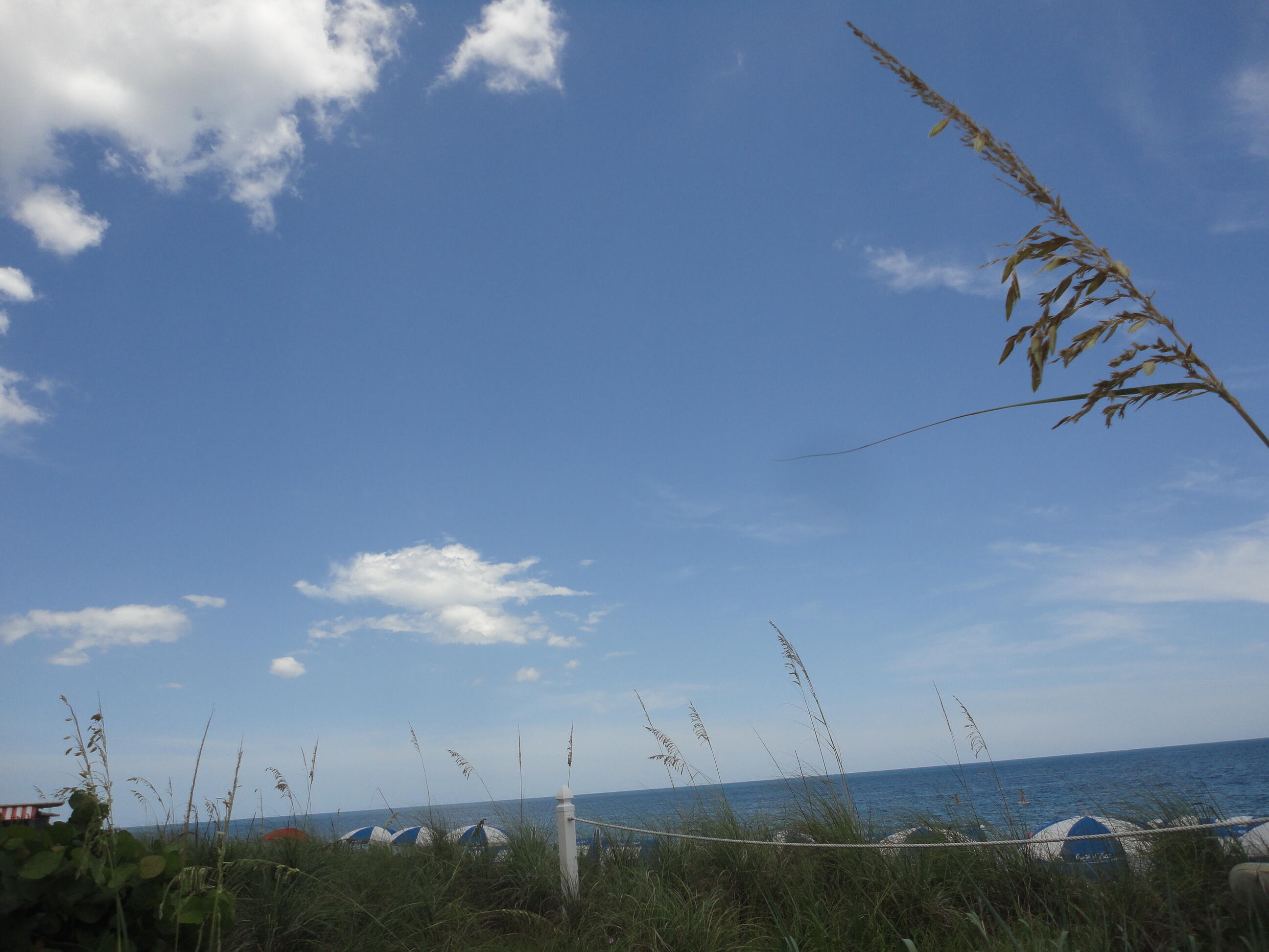 LEXINGTON PLACE SUBDIVISION - PHASE IV - Residential Lease