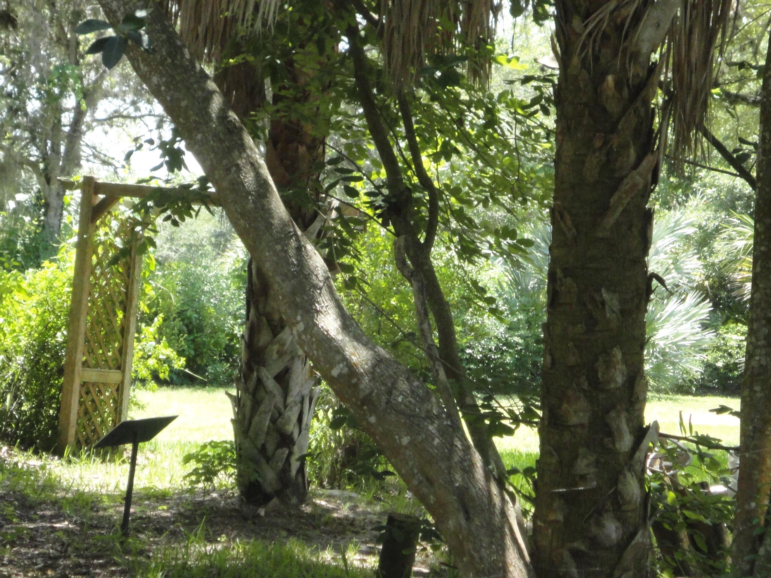 LEXINGTON PLACE SUBDIVISION - PHASE IV - Residential Lease