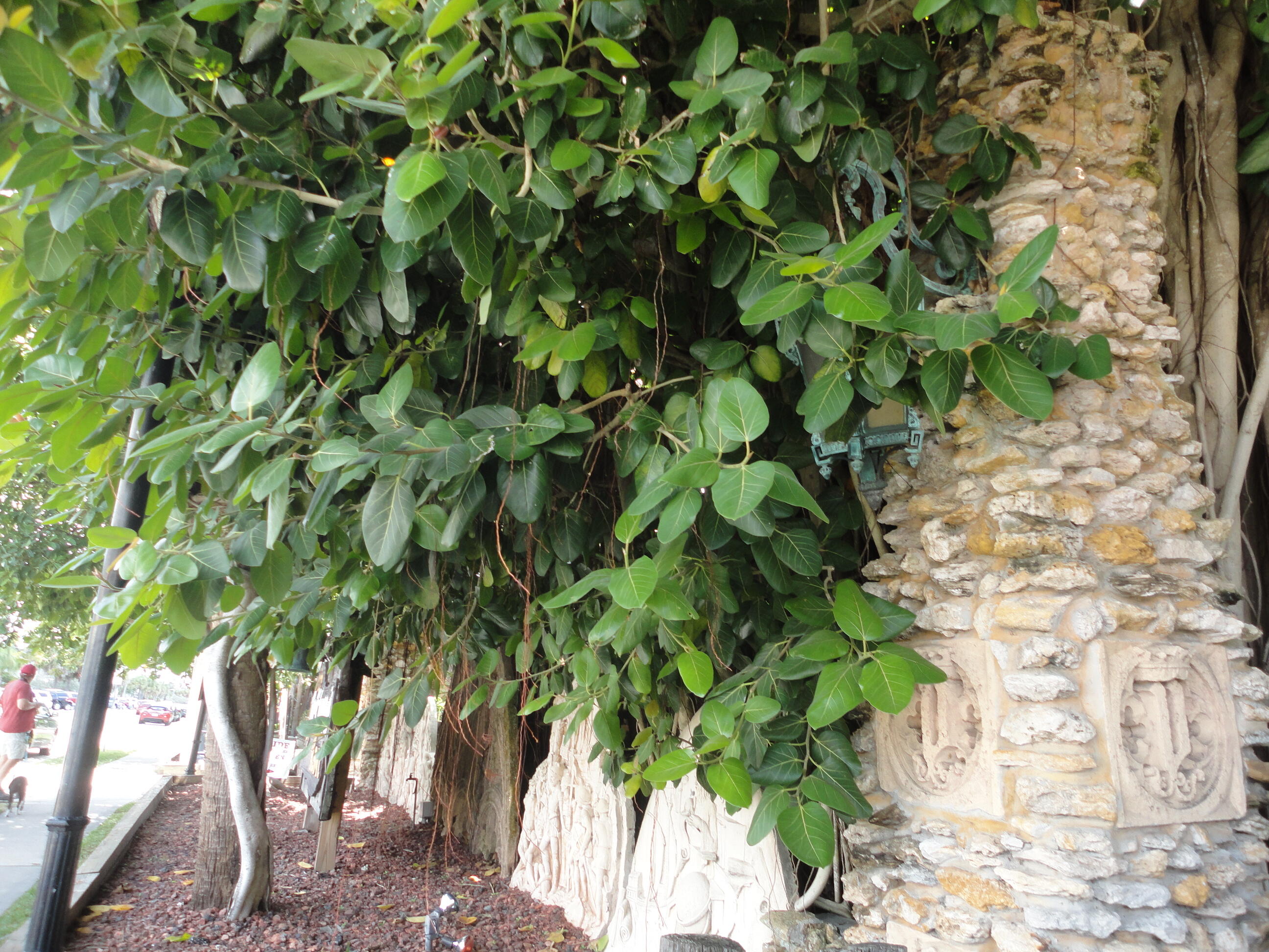 LEXINGTON PLACE SUBDIVISION - PHASE IV - Residential Lease