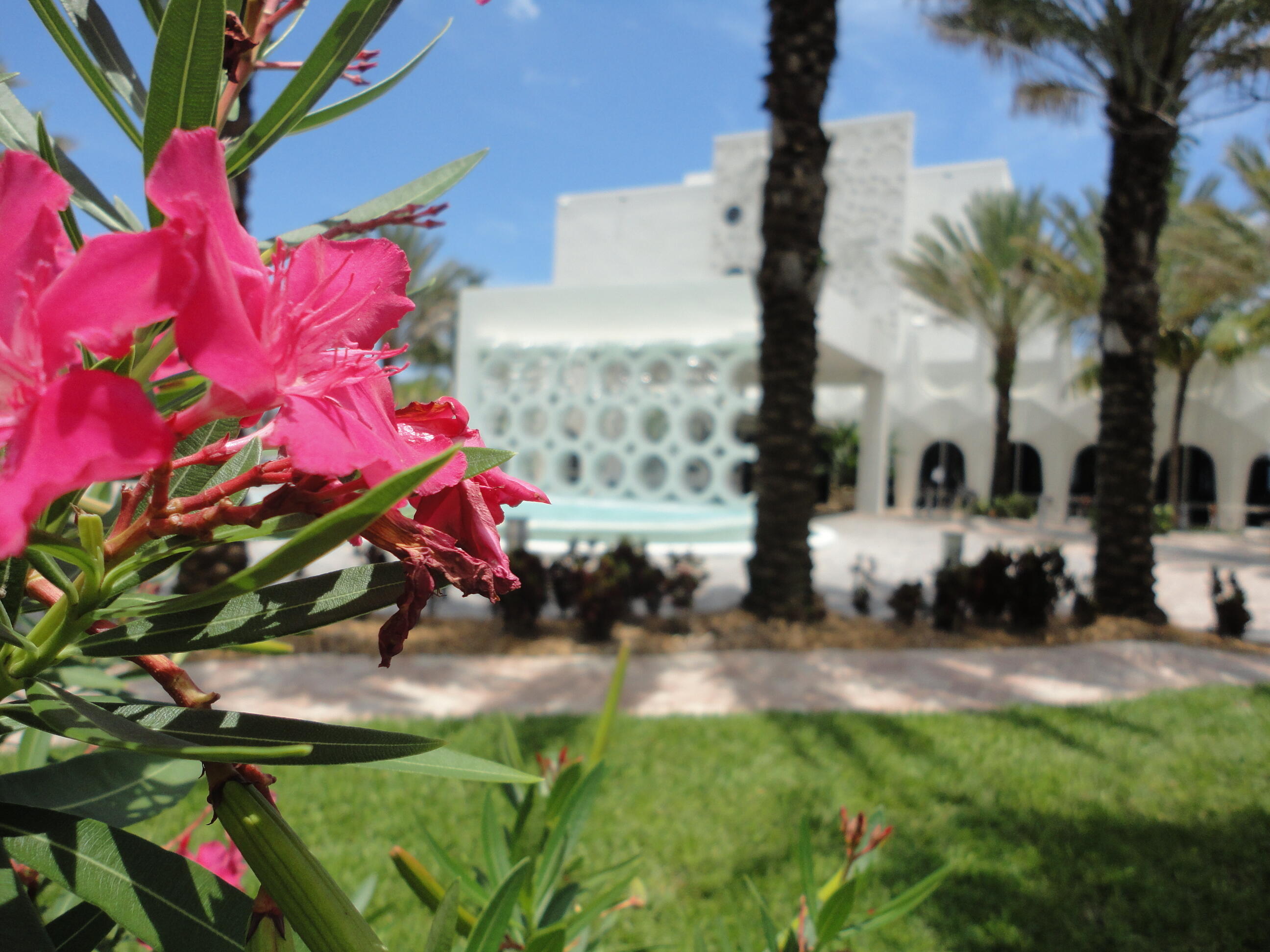 LEXINGTON PLACE SUBDIVISION - PHASE IV - Residential Lease