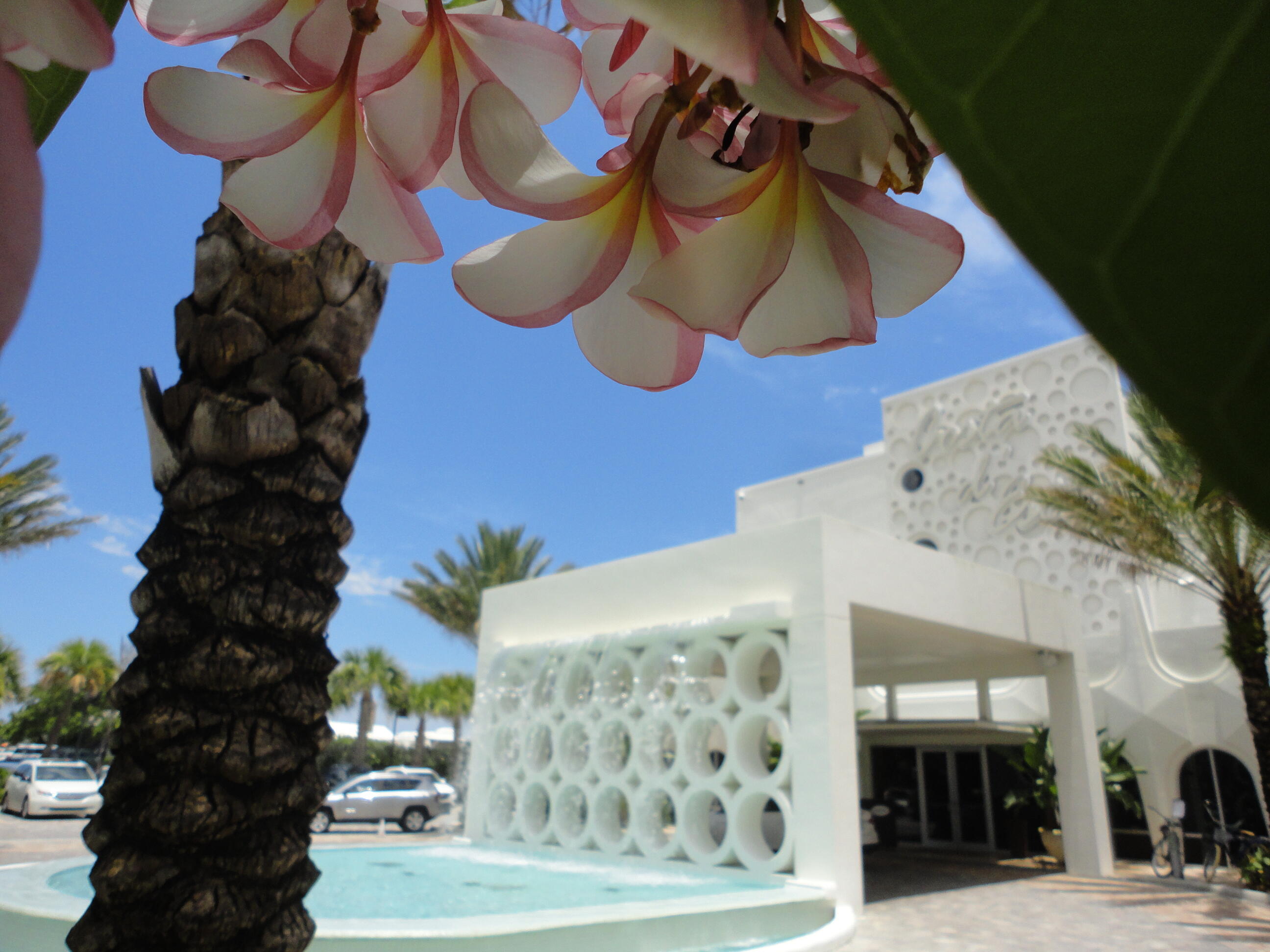 LEXINGTON PLACE SUBDIVISION - PHASE IV - Residential Lease