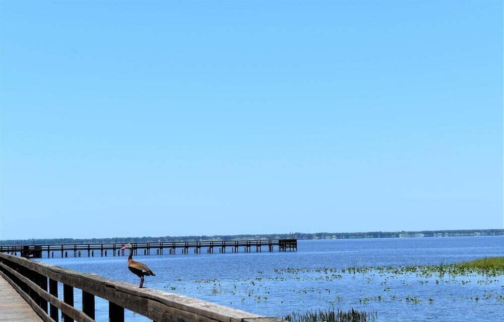 INDIAN LAKE ESTATES UNIT 05 - Land