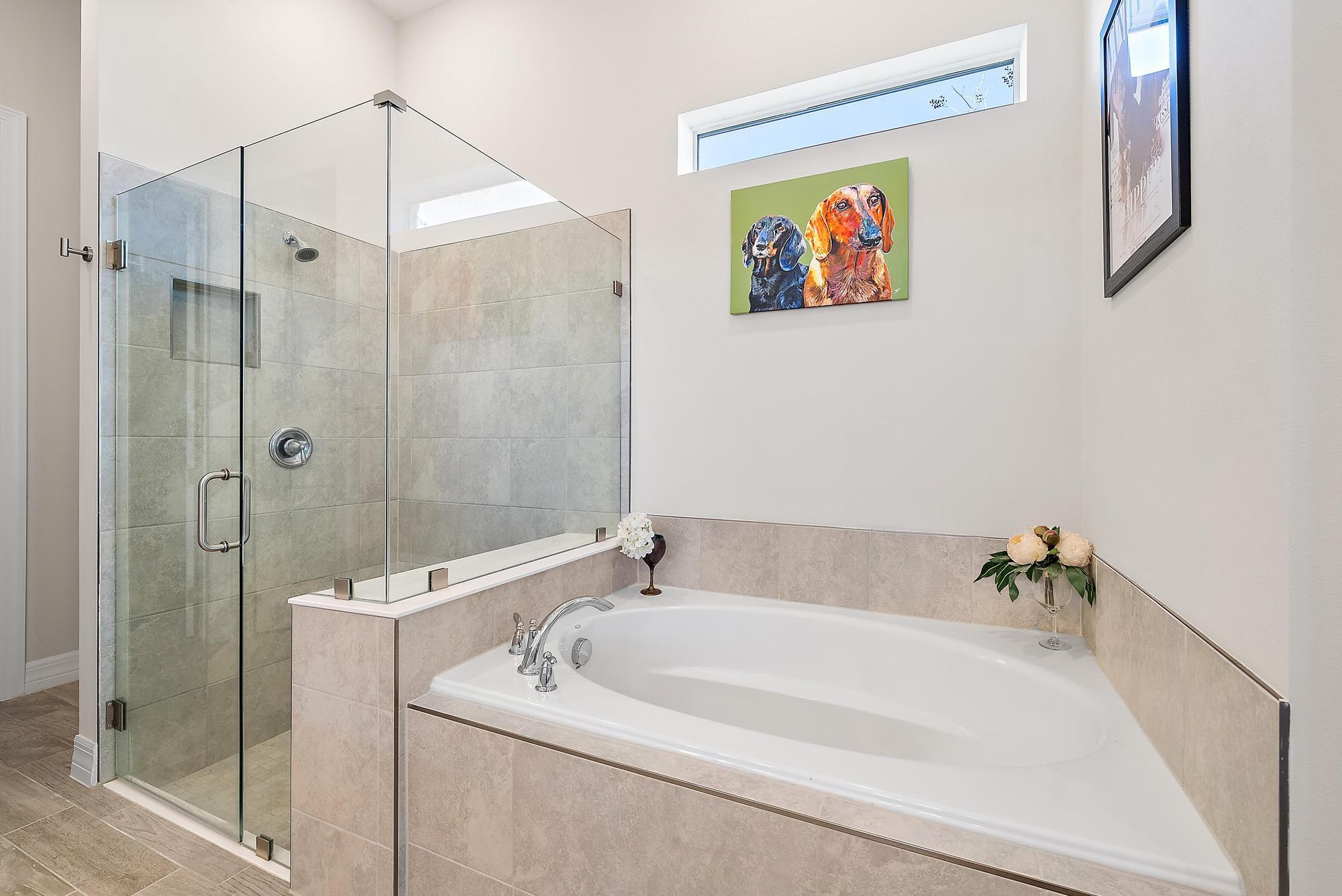 AVENIR - AVONDALE - Residential