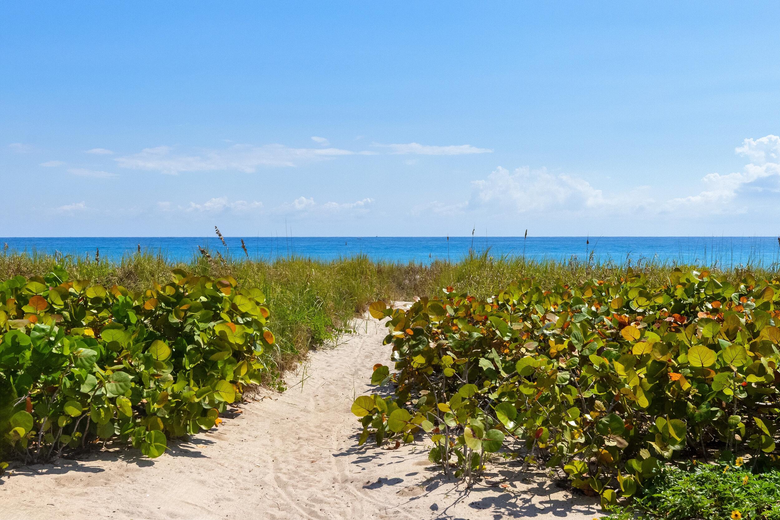OCEAN TERRACE - Residential