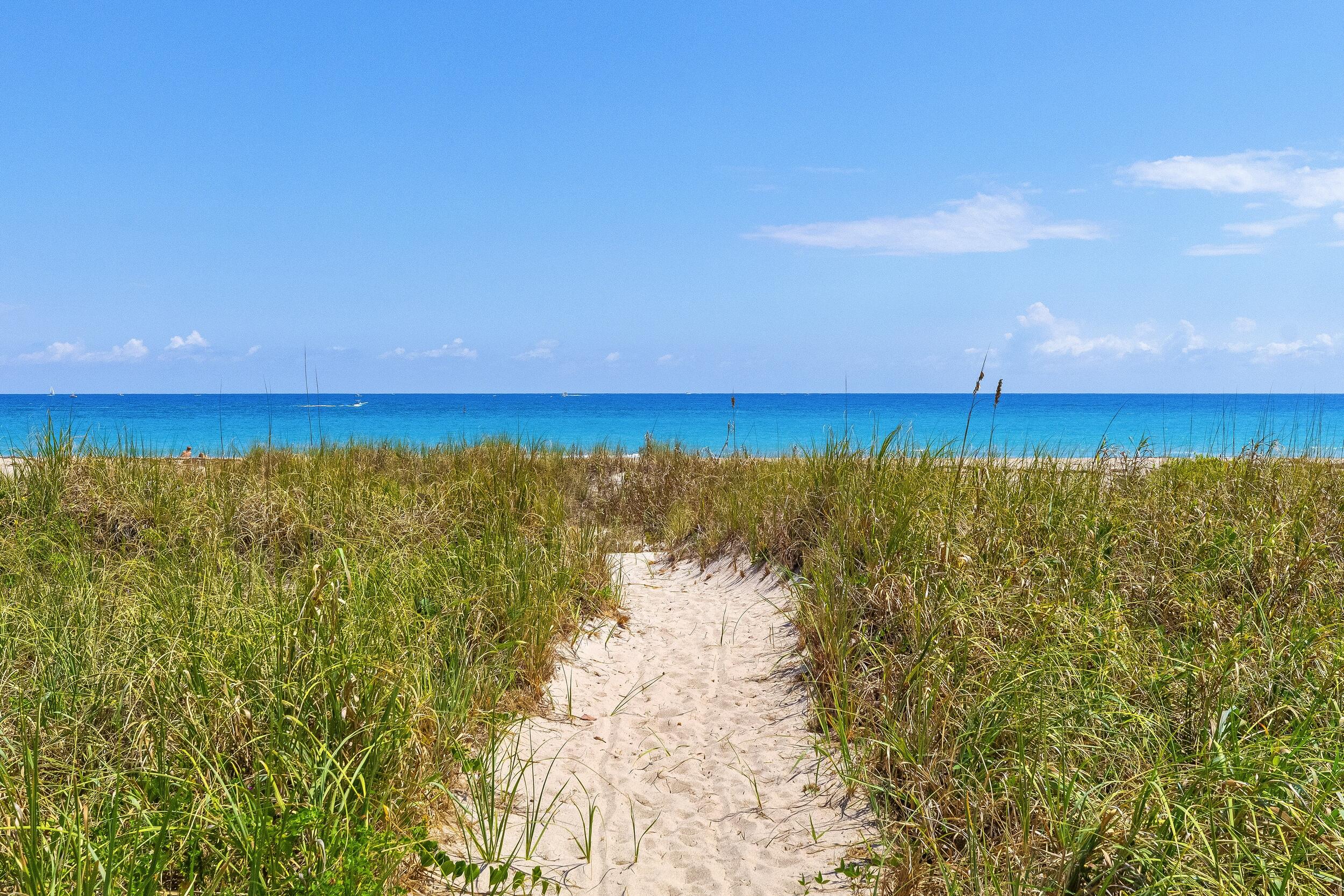 OCEAN TERRACE - Residential