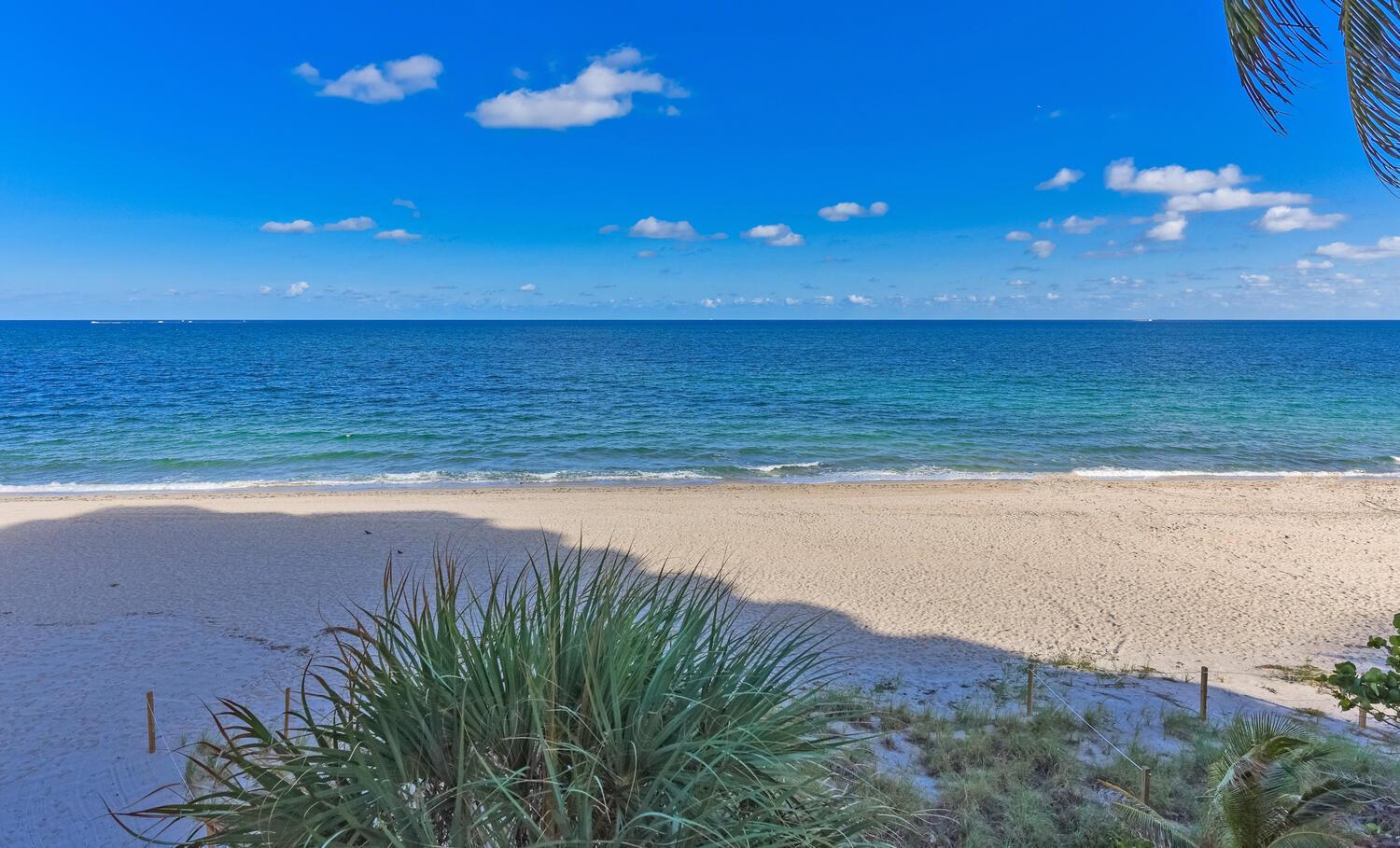 PLAZA SOUTH - Residential