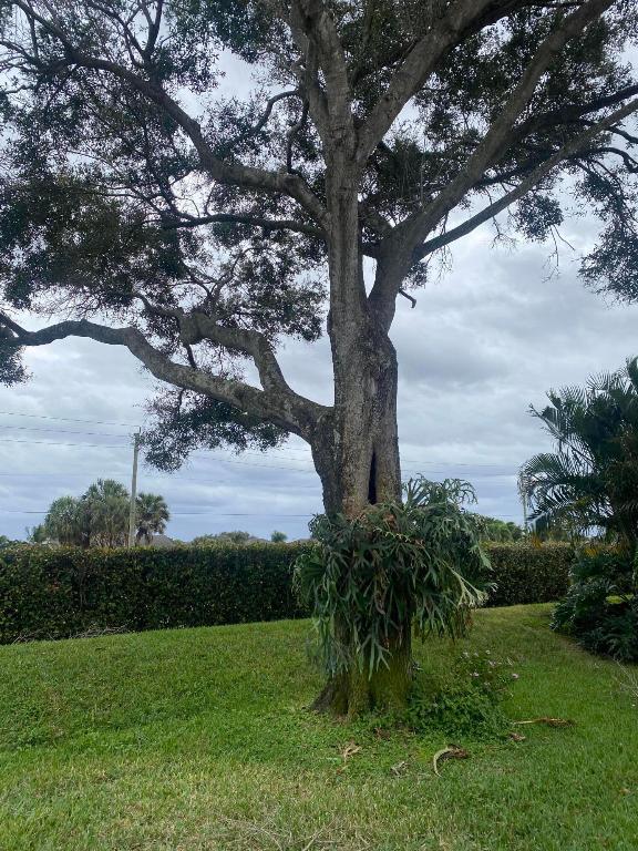 Sawgrass Lakes Homes - Residential