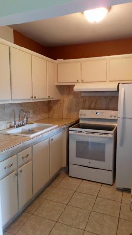 One bed one and half ground floor unit with brand new porch , extended patio, laminate floors, new door, hurricane shutters,. Gardening is allowed. Cats welcome. Enjoy all the amenities Century Village has to offer. Age restricted community for seniors.