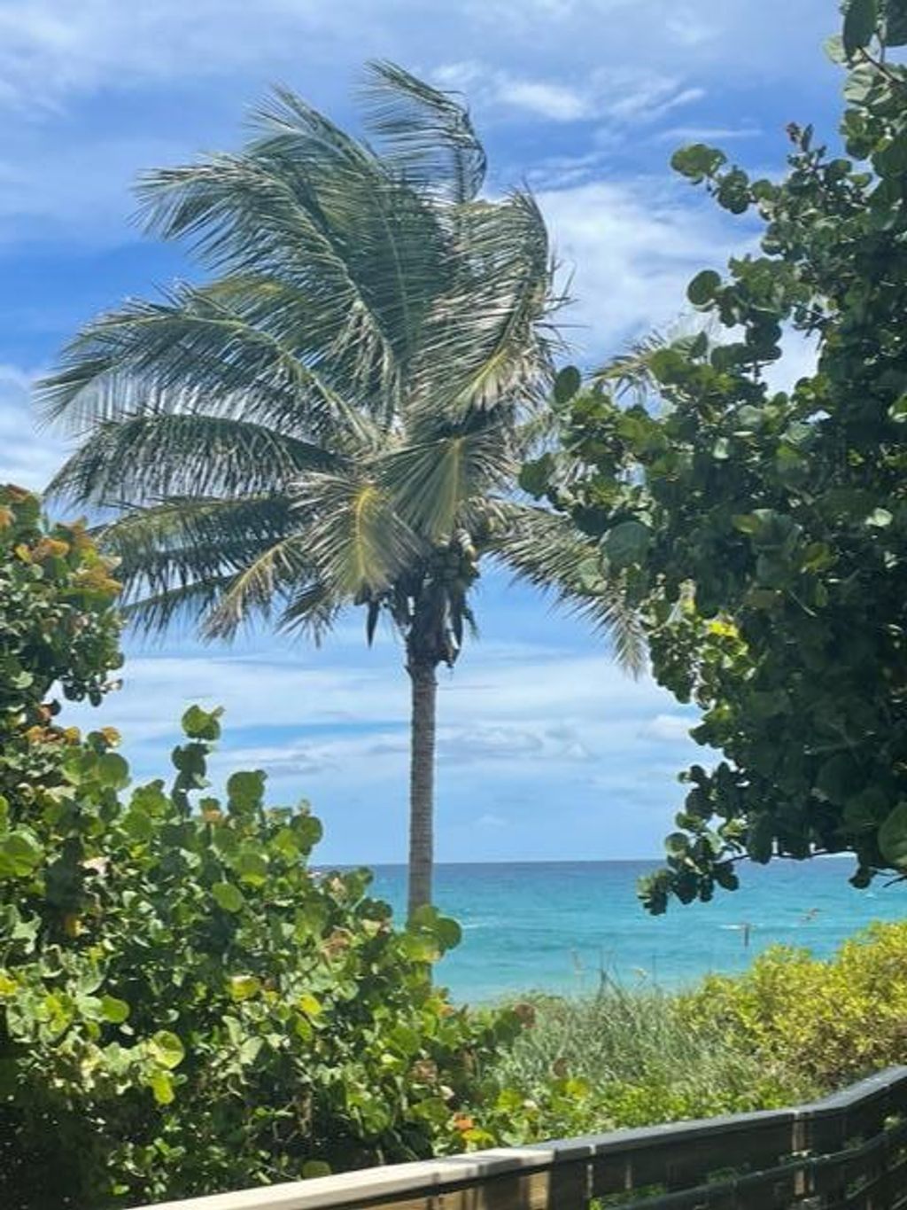 Photo of 291 Mercury Road #2, Juno Beach, FL 33408 (MLS # B26028921)
