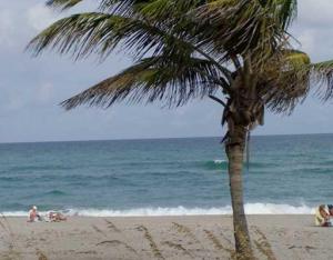 Evergrene Pcd 7 - Residential Lease