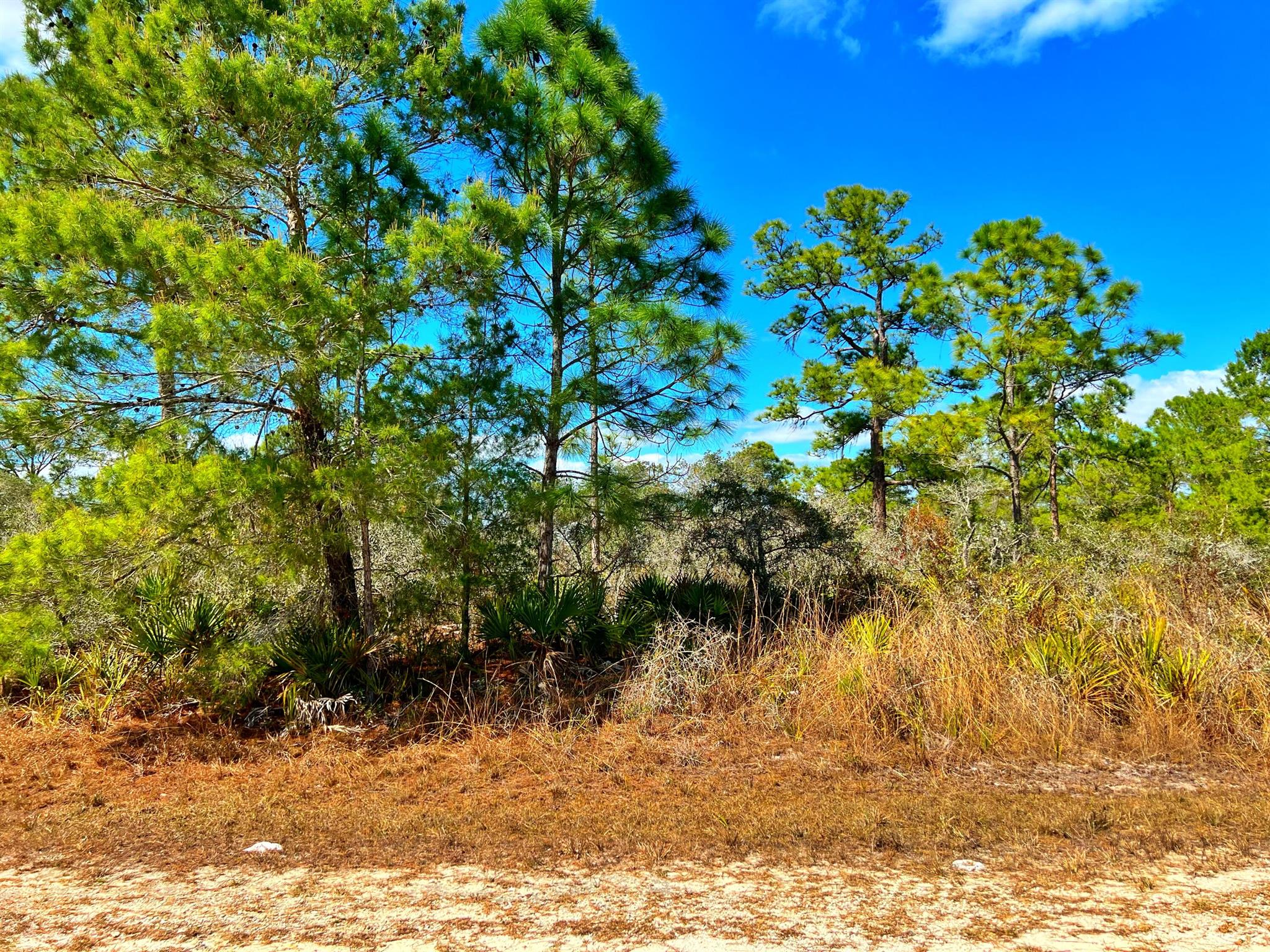 Looking For Your Chance to own a piece of Earth? Featuring an amazing opportunity to build your ultimate dream home in an amazing spot of North Port! Close to shopping, entertainment and more! Be sure to act fast because this property won't last long!