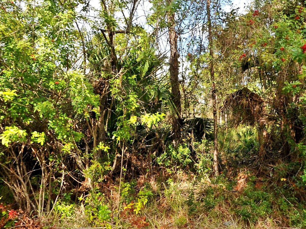 LOT 16, BLK 1661, 33RD ADD TO PORT CHARLOTTE - Land