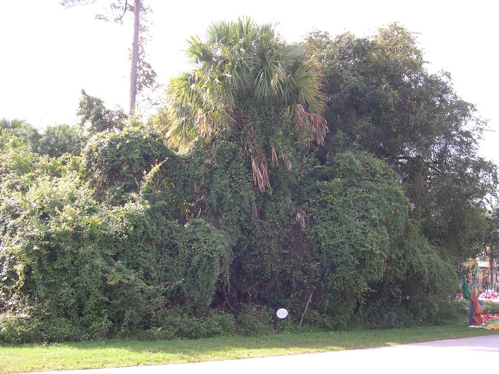 Photo of 1510 SW Apache Avenue, Port Saint Lucie, FL 34953 (MLS # R10939977)